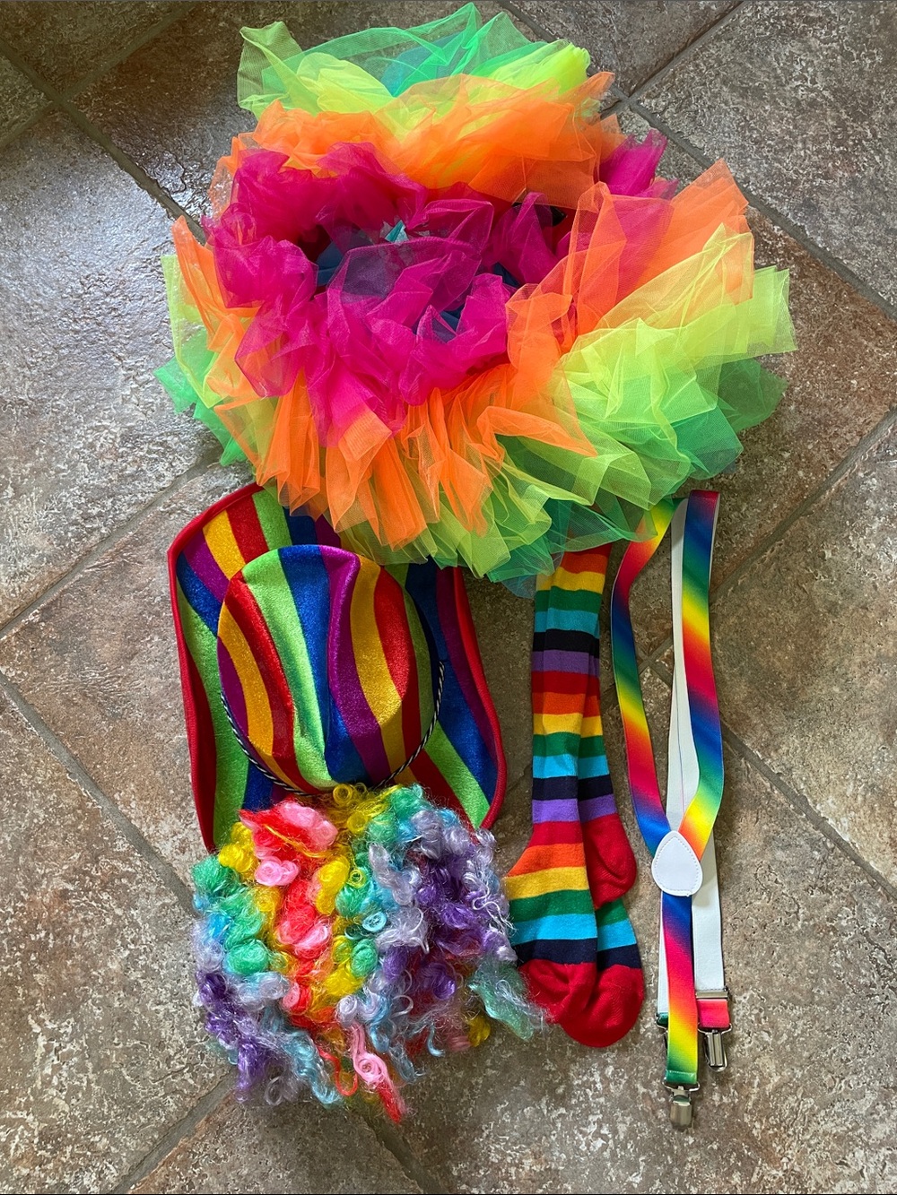 Rainbow Costume Set - Tulle Skirt, Striped Socks & Suspenders, wig and hat